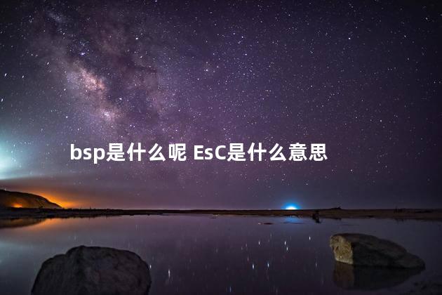 bsp是什么呢 EsC是什么意思